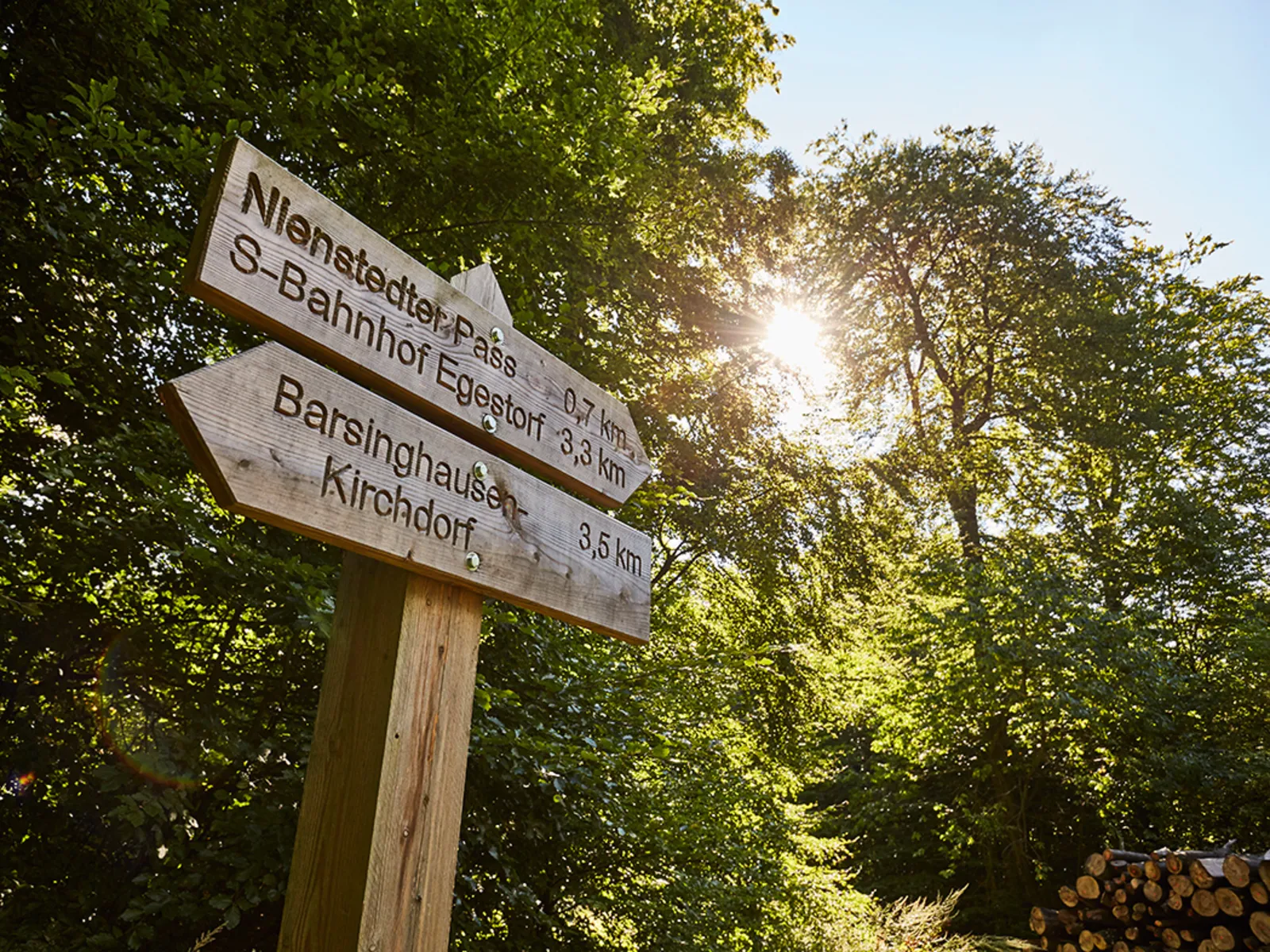 Natur pur: Wandern und Radfahren im Deister